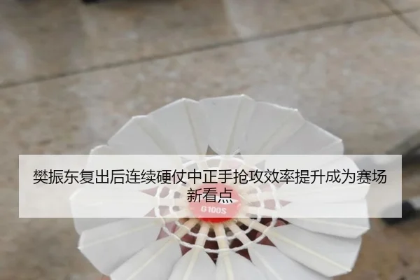 樊振东复出后连续硬仗中正手抢攻效率提升成为赛场新看点